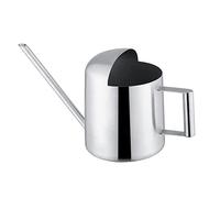 Innaffiatoio Acciaio Inox 300ml con Becco Lungo per Piante Interno Esterno Bonsai Versamento Controllato Piccolo Moderno per Giardino Casa Ufficio