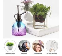 Innaffiatoio Piccolo Spruzzatore Di Piante Flacone Spray Da Giardino