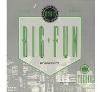 Inner City - Big Fun-Club Remix (x2 + Various Artists Techno Mix) [Import]