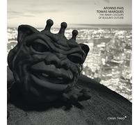 Afonso Pais - The Inner Colours of Boglin’s Outline