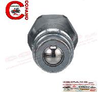 Innesto rapido maschio 1285718C2 Case Ih