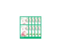 innisfree - Active Mask - Rose (10ea) Set