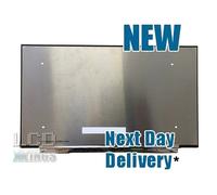 Innolux N161HCA-GA1 Schermo Laptop LED 16,1" 144Hz