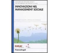 Innovazioni nel management sociale. Tendenze di sviluppo, approcci ed esperienze
