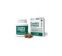 Innovet Condrostress Mobility Compresse Masticabili - Formato: 60 compresse masticabili