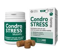 Innovet Condrostress Mobility Supporto articolare Compresse per cani 30 Compresse - Integratori per cani - 1° ORDINE? scegli lo sconto BZR5 / BZR20 + 200 punti fedeltà
