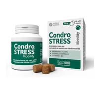 Innovet Condrostress Mobility Supporto articolare Compresse per cani 60 Compresse - Integratori per cani - 1° ORDINE? scegli lo sconto BZR5 / BZR20 + 200 punti fedeltà