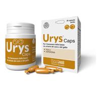 URYS CAPS 30 CAPSULE