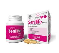 Innovet Senilife Plus - Supporto per il benessere cerebrale di cani e gatti anziani - Supporta la memoria e lo sviluppo cognitivo - PEA-um, DHA, vitamina E - 60 capsule birillo