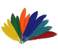 INNSPIRO Penne indiane mix colori ca. 30 x 200 mm. 36u.