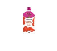 Inodorina Magic Home Cedro 1 L