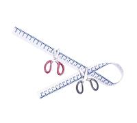 INOOMP 1 Set Mini forbici che misurano il sovrano Bambola arredamento Accessori per la casa delle bambole miniature per l'artigianato Mini decorazioni per la casa mini roba Metallo