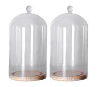 INOOMP 2 campane di vetro con base in legno rustico, ideali per | Campana di vetro a cupola da 20 x 12,7 cm, ideale come vetrina per piante, luci decorative, oggetti curiosi, ricordi e