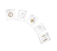 INOOMP 5 Set Dispositivo Dimostrativo di Induzione Elettromagnetica con Limatura di Ferro in Plastico, Strumento Didattico per L'arricchimento del Curriculum e L'insegnamento in Classe