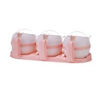 INOOMP Barattoli Condimenti Celle con Cucchiai Contenitori Spezie Cucina in PP Alimentare Vasetti Multifunzionali per e Oli Rosa Organizer e Picnic