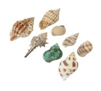 INOOMP Decorazione Conchiglie Marine Miste 100g, Guscio, Casa | Design Variato, per Amici e Famiglia, Idea Regalo Decorativa, Peso 100g, per Arredare Stanze Tema Mare