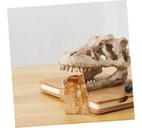 INOOMP Esemplare Pesce Paleontologico Fossile Decorativo Campione Specimen di Animale Marino per Insegnamento Scientifico e Collezione Dettagli Raffinati e Conservazione Unica