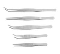 INOOMP Set di Pinzette Appuntite in Metallo Inossidabile per Piante Succulente, Strumenti da Giardinaggio per Micro Paesaggi e Cura Piante da Giardino