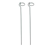 INOOMP Supporto Metallico per Piante da Vaso 2 Pezzi Anello Singolo, Utilizzabile per Piante da Interno Come Orchidee, Amaryllis e Pomodori