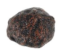 INOOMP tartufo nero giocattolo di simulazione per Giocattoli di simulazione della casa accessori da cucina giocattolo plastica