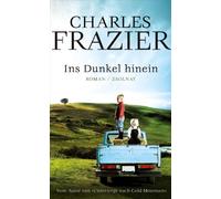 Ins Dunkel hinein: Roman