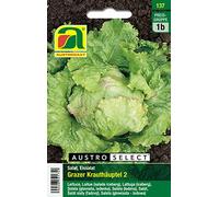 Insalata,Insalata di gelato, Grazer Chippel 2