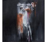 Insect Ark - Vanishing