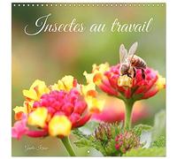 Insectes au travail (Calendrier mural carré 2026 30x30 cm) Calendrier double avec une page pour vos prises de notes: Ils papillonnent et bourdonnent dans l'air