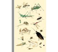 Insects Illustrations Journal Entomology Biology: Bugs Asian Japanese Drawing 19th Century Vintage Art Journal Artsy Gift Composition Notebook, Lined Paper, 150 Pages, 6"x9" (15.24 x 22.86 cm)