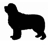 Insegna A Forma Di Cane Newfoundland Arte Da Parete Targa Per Canile In Nero