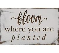 Insegna vintage in metallo, alluminio e latta "Bloom Where You Are Planted