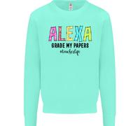 Insegnamento Grado I Miei Documenti Divertente Insegnante Uomo Felpa Maglione