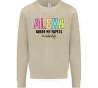 Insegnamento Grado I Miei Documenti Divertente Insegnante Uomo Felpa Maglione