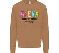 Insegnamento Grado I Miei Documenti Divertente Insegnante Uomo Felpa Maglione