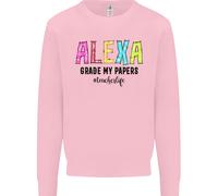 Insegnamento Grado I Miei Documenti Divertente Insegnante Uomo Felpa Maglione