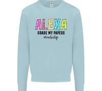 Insegnamento Grado I Miei Documenti Divertente Insegnante Uomo Felpa Maglione