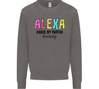 Insegnamento Grado I Miei Documenti Divertente Insegnante Uomo Felpa Maglione