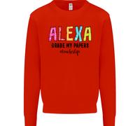 Insegnamento Grado I Miei Documenti Divertente Insegnante Uomo Felpa Maglione