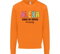 Insegnamento Grado I Miei Documenti Divertente Insegnante Uomo Felpa Maglione