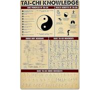 Insegne in metallo con informazioni sul Tai Chi, guida allo studio del Tai Chi e del Kung Fu, poster in latta, targhe infografiche per la sala delle arti marziali retrò, collezione di ventilatori per