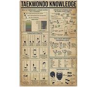 Insegne in metallo con informazioni sul Tai Chi, poster con guida allo studio del Tai Chi Kung Fu, targhe infografiche per la sala delle arti marziali retrò, collezione di ventilatori per la casa, de