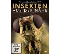 Insekten aus der Nähe