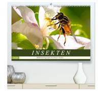 INSEKTEN - Makrofotografie in freier Natur (hochwertiger Premium Wandkalender 2026 DIN A2 quer), Kunstdruck in Hochglanz: Es summt und brummt: Bienen, Fliegen, Käfer und Schmetterlinge