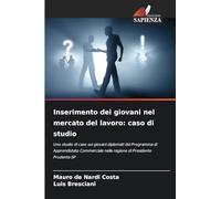 Inserimento dei giovani nel mercato del lavoro: caso di studio: Uno studio di caso sui giovani diplomati del Programma di Apprendistato Commerciale nella regione di Presidente Prudente-SP
