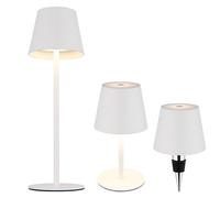 Inserto Della Bottiglia Tavolo Lampada per Esterni LED Batteria USB Cct Bianco [EEK: Inaditato]