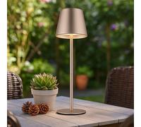 Inserto Della Bottiglia Tavolo Lampada per Esterni LED Cct Touch Dimmer Batteria [EEK: Inaditato]