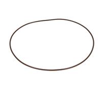 Inserto di tenuta, trasmissione finale CARRARO 133758-CR