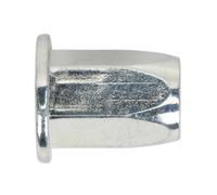 Inserto Filettato (Rivetto Dado) M6 Intero Esagonale Flangia Standard Confezione