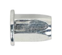 Inserto Filettato (Rivetto Dado) M8 Intero Esagonale Flangia Standard Confezione