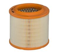 Hengst & Co Filtro aria Cartuccia E724L per Audi A8 D3